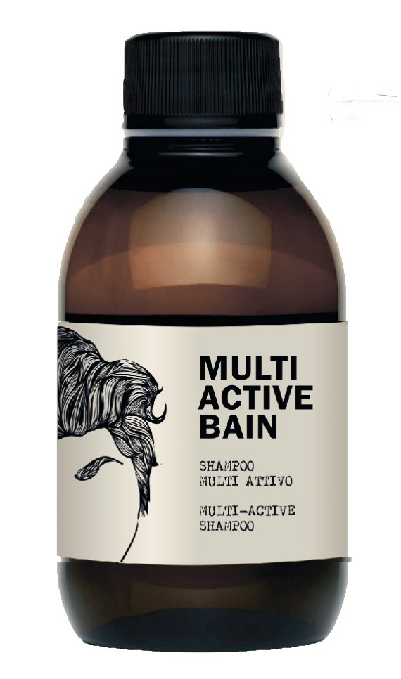 

DEAR BEARD Шампунь мультиактивный, для мужчин / MULTI ACTIVE BAIN 250 мл