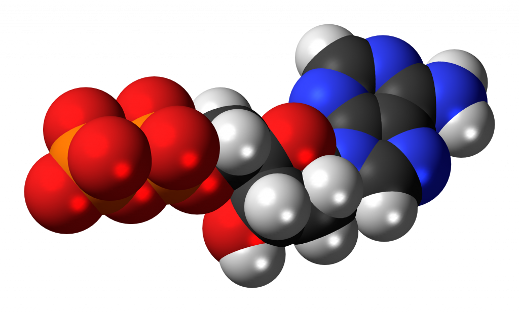Deoxyadenosine-diphosphate-anion-3D-spacefill.png