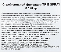 LEBEL Спрей сильной фиксации / Trie-8 170 г, фото 2