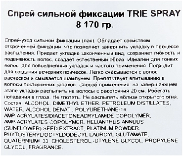 LEBEL Спрей сильной фиксации / Trie-8 170 г