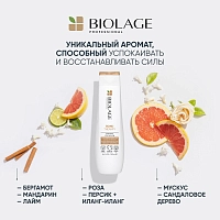 BIOLAGE Шампунь / БИОЛАЖ Бонд Терапи 250 мл, фото 5