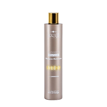 HAIR COMPANY Шампунь придающий блеск / Illuminating Shampoo INIMITABLE STYLE 250 мл