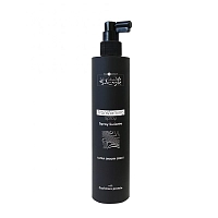 Спрей разглаживающий / Transforming Spray INIMITABLE STYLE 300 мл, HAIR COMPANY