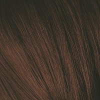 3-65 краска для волос Темный коричневый шоколадный золотистый / Igora Royal 60 мл, SCHWARZKOPF PROFESSIONAL