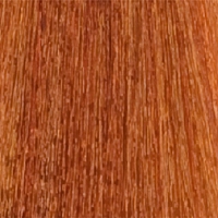 LISAP MILANO 8/63 краска для волос, светлый блондин медно-золотистый / LK OIL PROTECTION COMPLEX 100 мл, фото 1