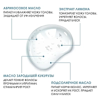 INSIGHT Шампунь для ежедневного использования / DAILY USE 900 мл, фото 3