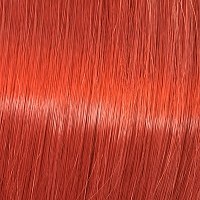 WELLA 0/44 краска для волос, красный интенсивный / Koleston Pure Balance 60 мл, фото 1