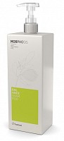 Шампунь для решения проблем жирной кожи головы / MORPHOSIS BALANCE SHAMPOO 1000 мл, FRAMESI