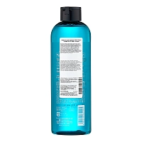 LEBEL Шампунь мужской многофункциональный Ледяная мята, для мужчин / THEO SCALP SHAMPOO ICE MINT 320 мл, фото 3